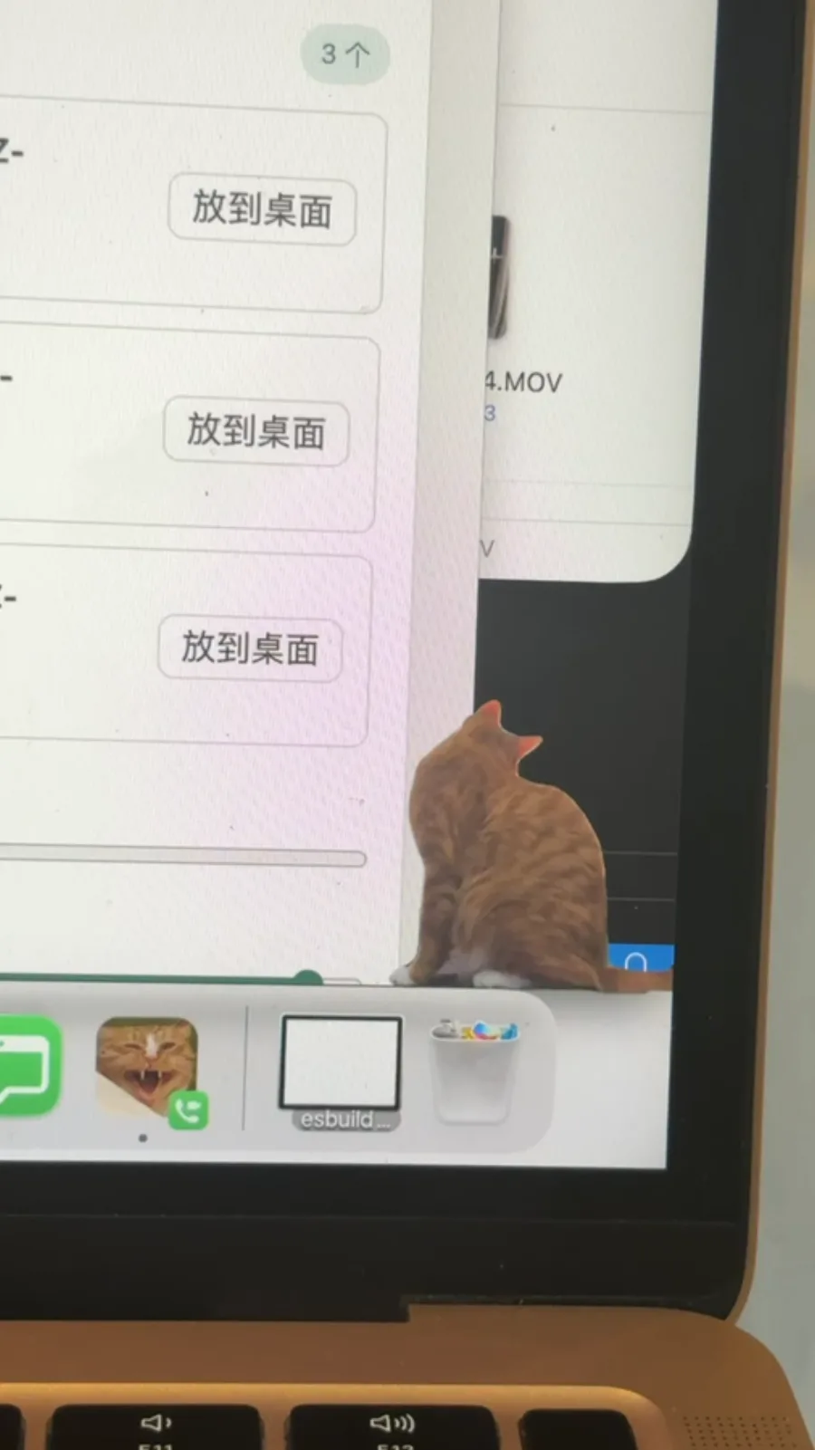 桌宠在电脑桌面上活动